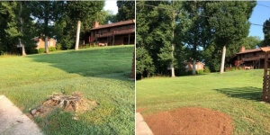 Stump Grinding